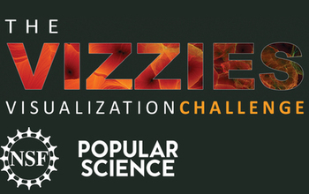 The Vizzies visualization challenger open